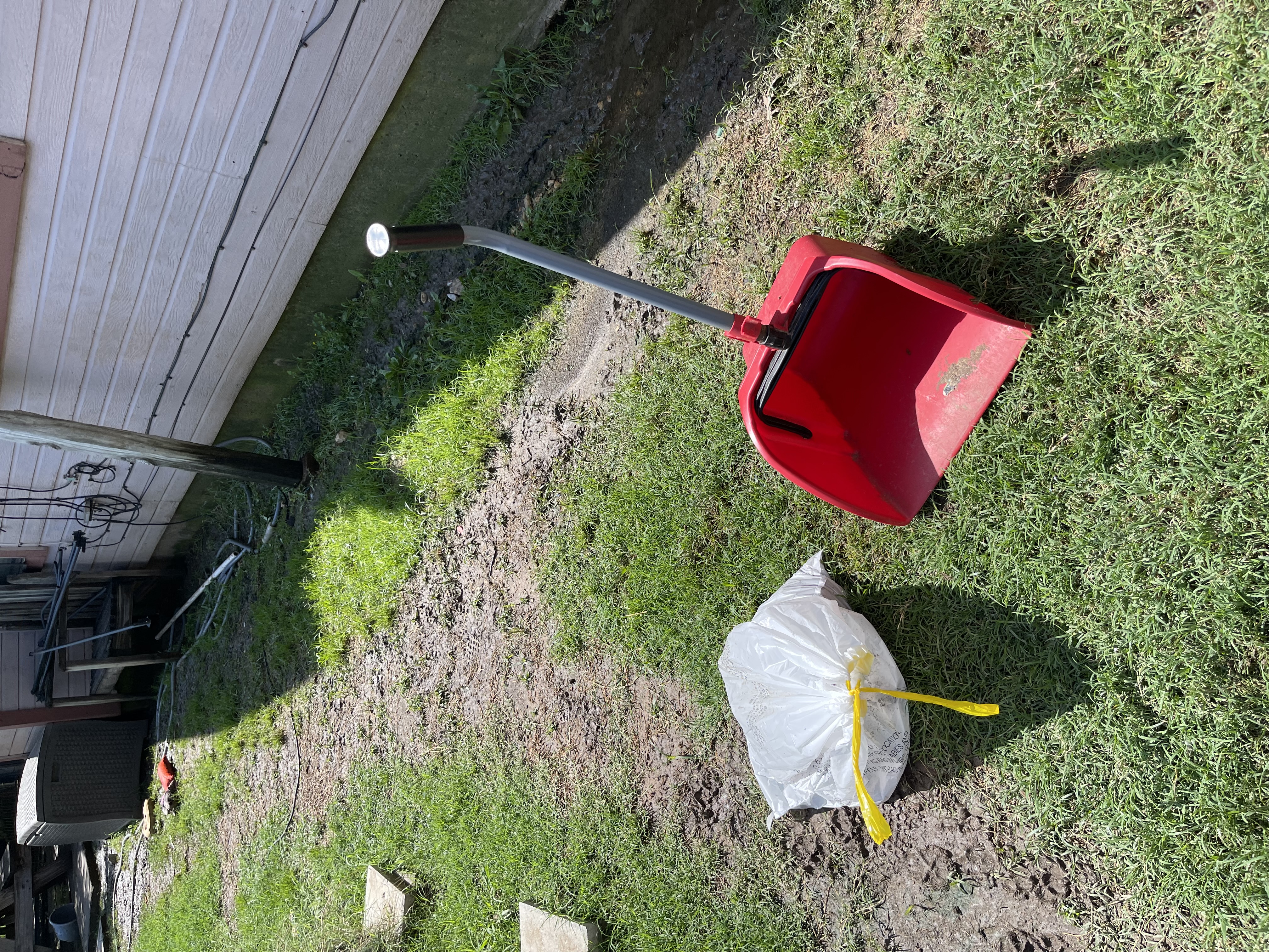 A1 Scoop Warriors dog poop removal service completed on a side yard with patchy grass
