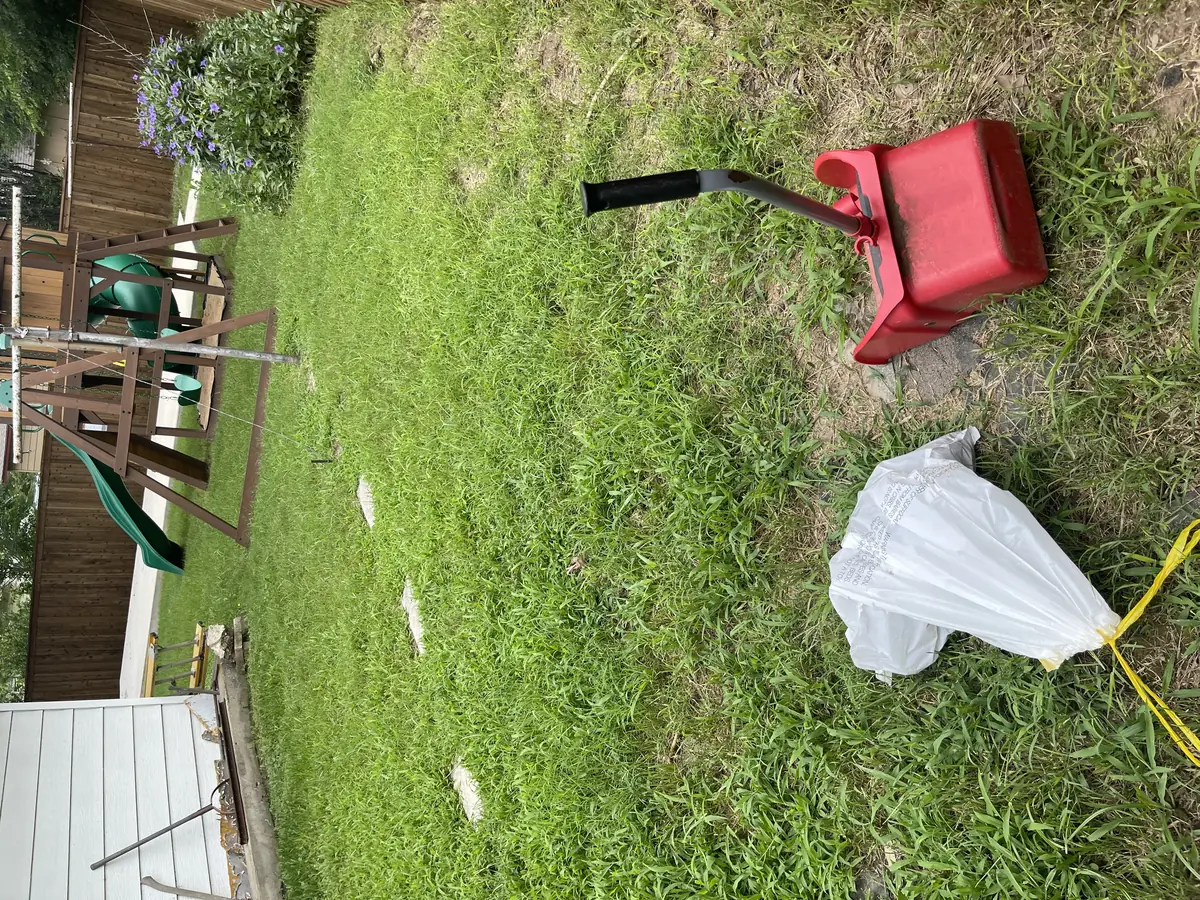 A1 Scoop Warriors pet waste removal completed in a backyard with children's swing set and slide