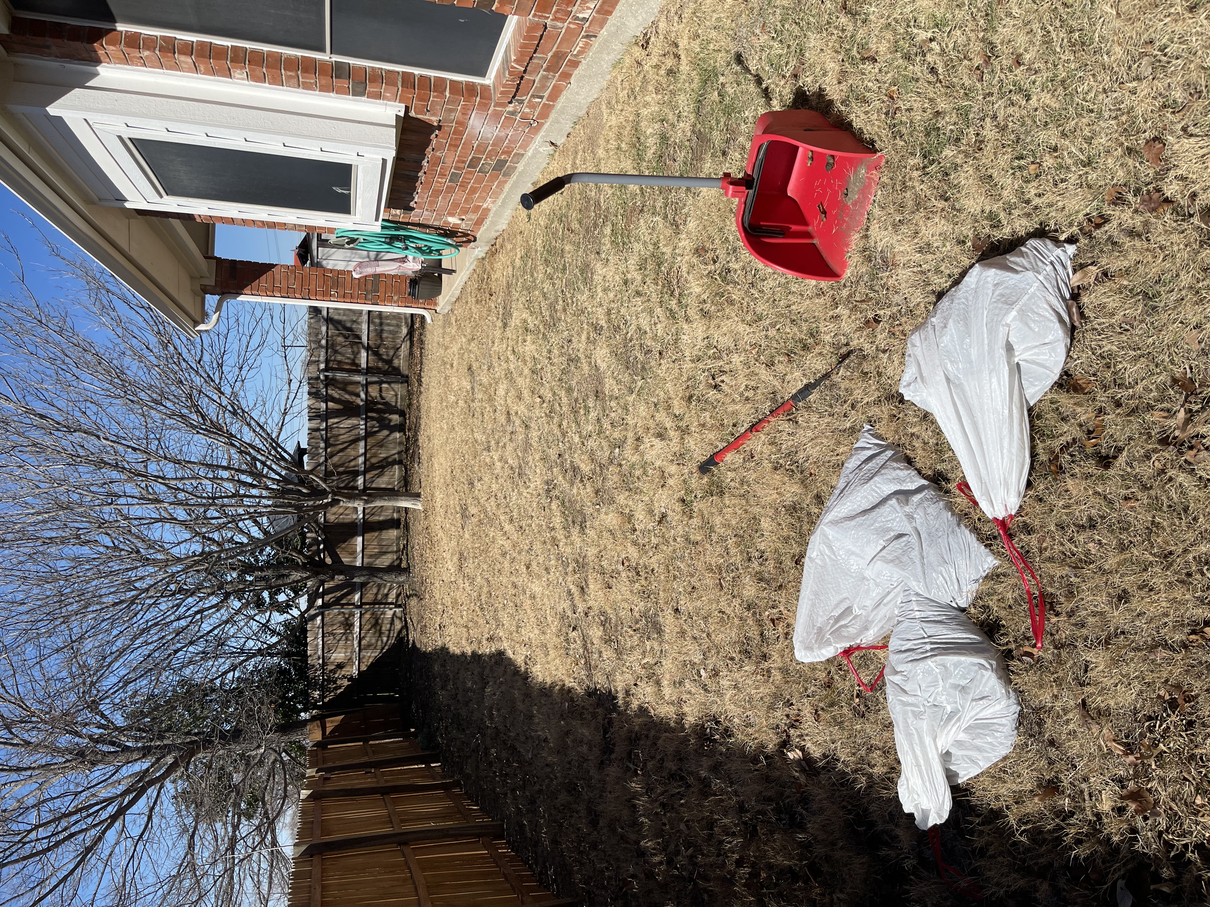 A1 Scoop Warriors completed pet waste removal on a dormant winter yard in the Fort Worth TX service area