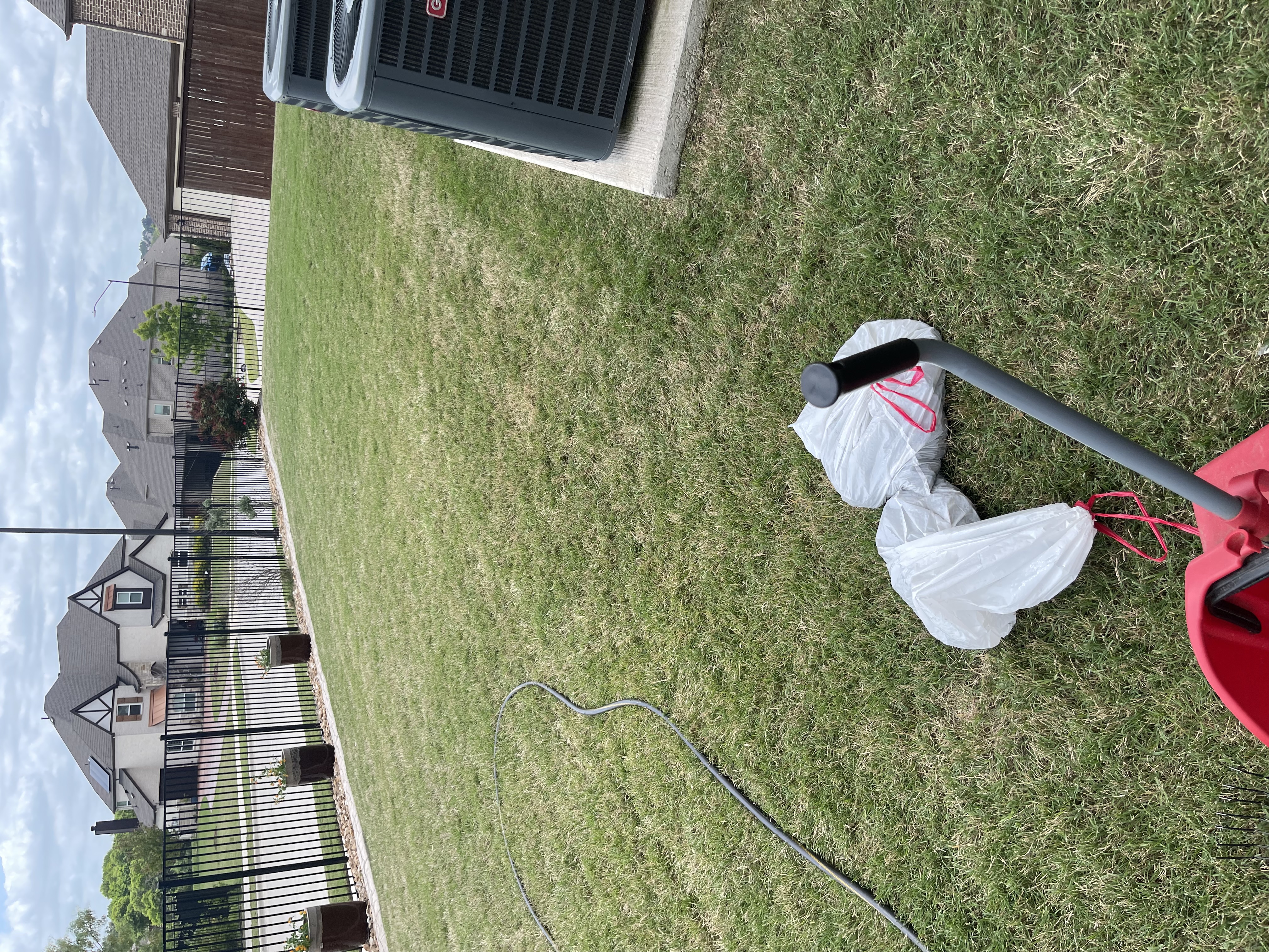 A1 Scoop Warriors pooper scooper service completed on a large open fenced yard with iron perimeter fence