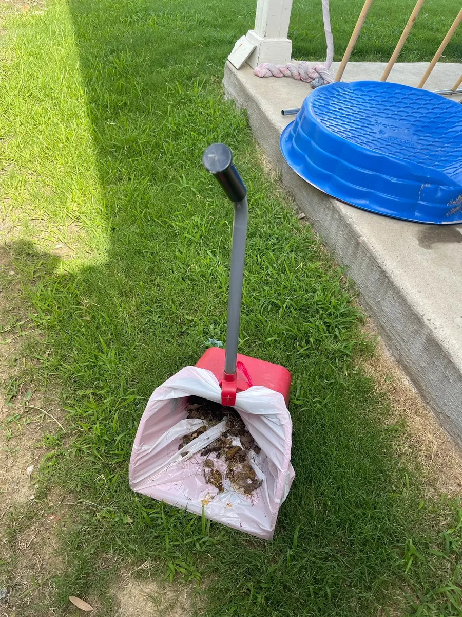 pooper scooper service roanoke TX