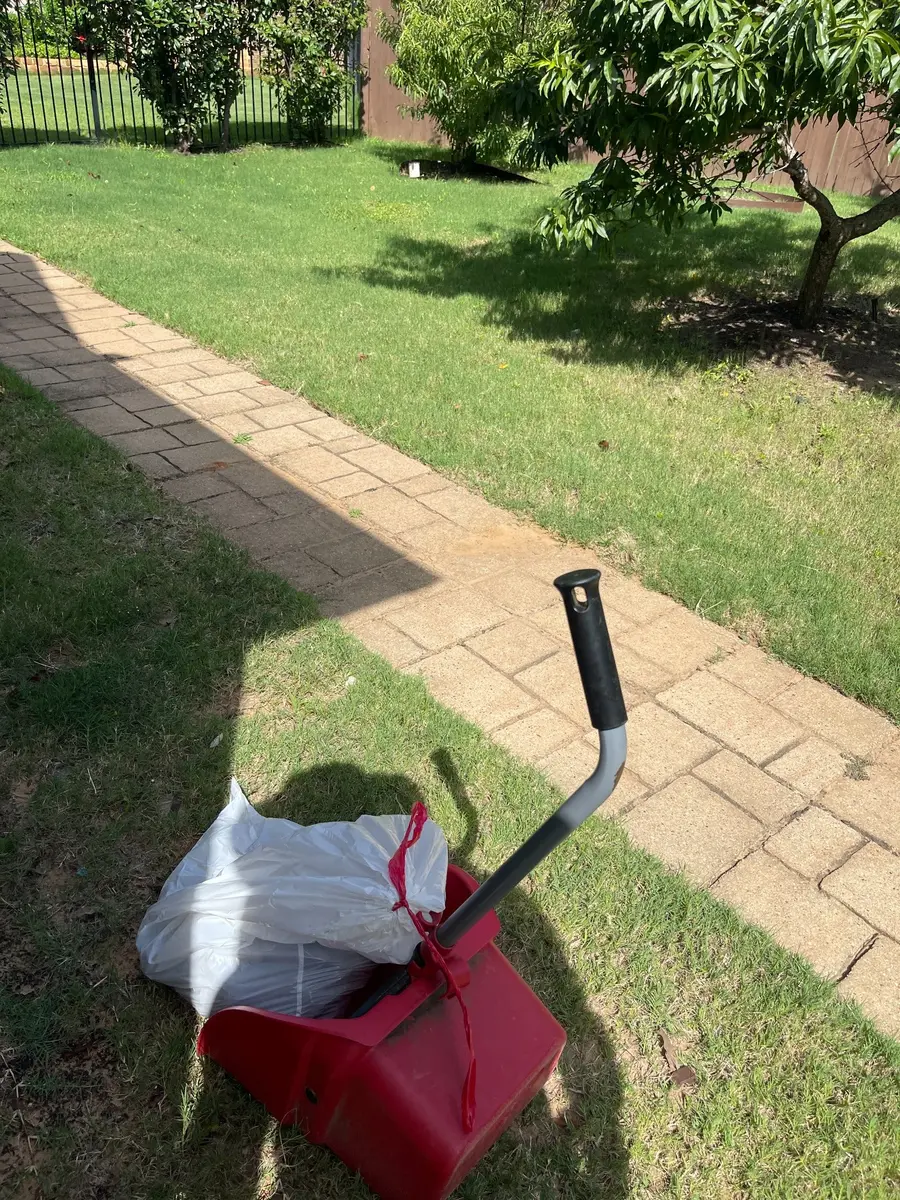 pooper scooper service saginaw TX